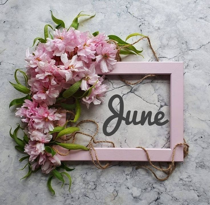 JUNE with sunshine flowers and Bees